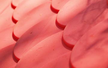 Gwernydd plastic roof costs